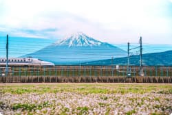 Explore Japan on the Bullet Train